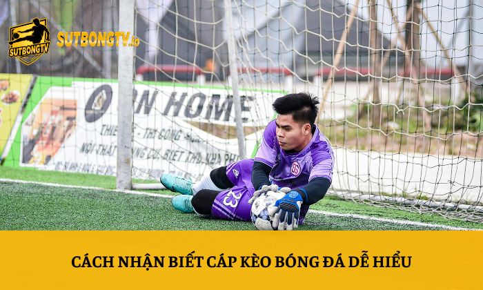 Cách nhận biết cáp kèo bóng đá dễ hiểu