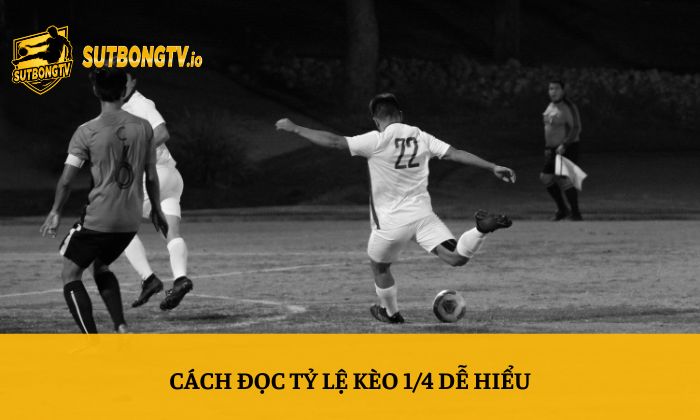Cách đọc tỷ lệ kèo 1/4 dễ hiểu