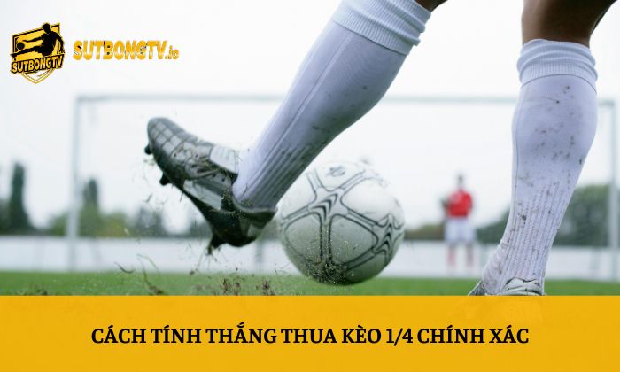 Cách tính thắng thua kèo 1/4 chính xác