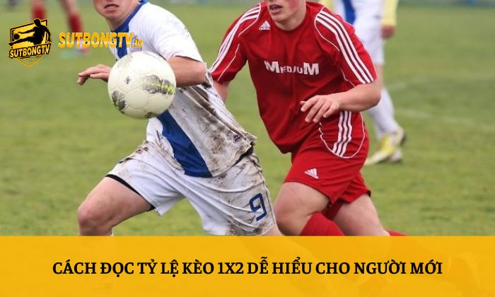 Cách đọc tỷ lệ kèo 1X2 dễ hiểu cho người mới