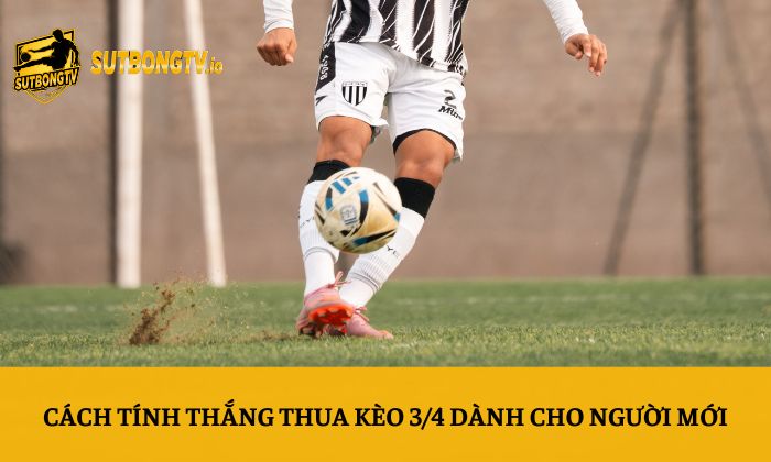 Cách tính thắng thua kèo 3/4 dành cho người mới