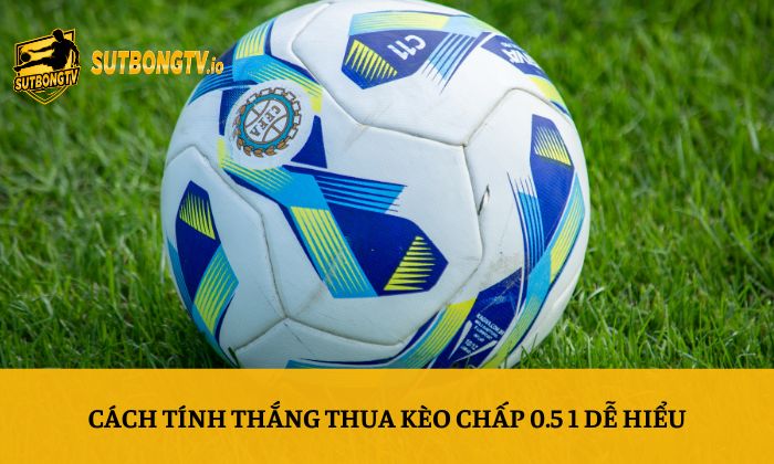 Cách tính thắng thua kèo chấp 0.5 1 dễ hiểu