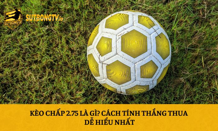 Kèo chấp 2.75 là gì? Cách tính thắng thua dễ hiểu nhất 1 Kèo chấp 2.75 là gì