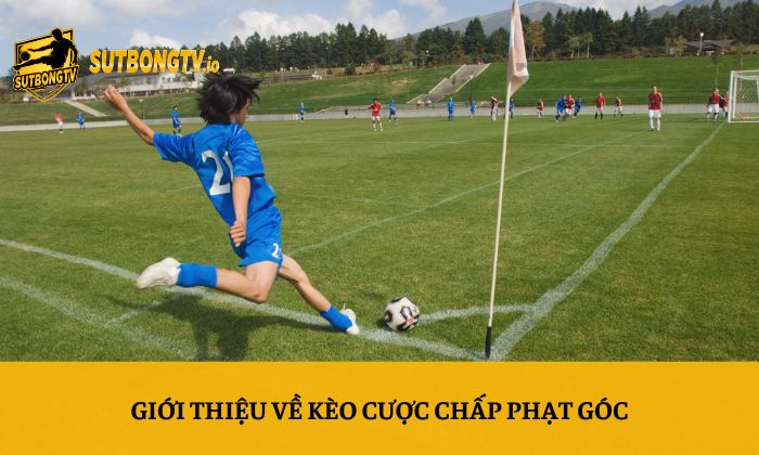 Giới thiệu về kèo cược chấp phạt góc