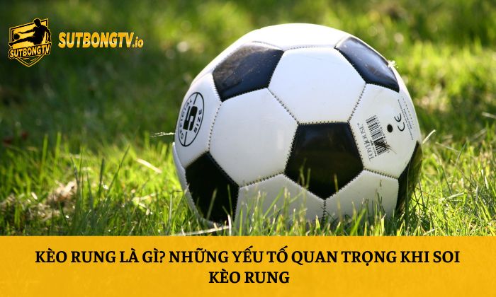 Kèo rung là gì? Những yếu tố quan trọng khi soi kèo rung 1 Kèo rung là gì