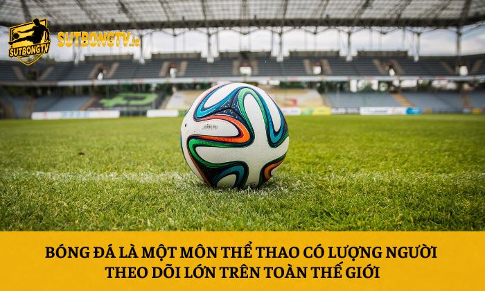 Bóng đá là một môn thể thao có lượng người theo dõi lớn trên toàn thế giới